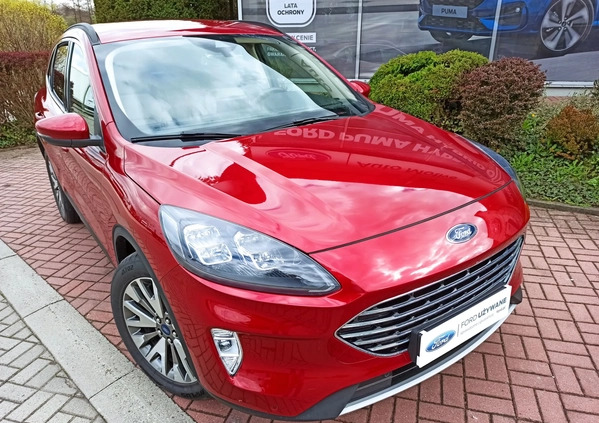 Ford Escape cena 99900 przebieg: 25233, rok produkcji 2020 z Góra małe 232